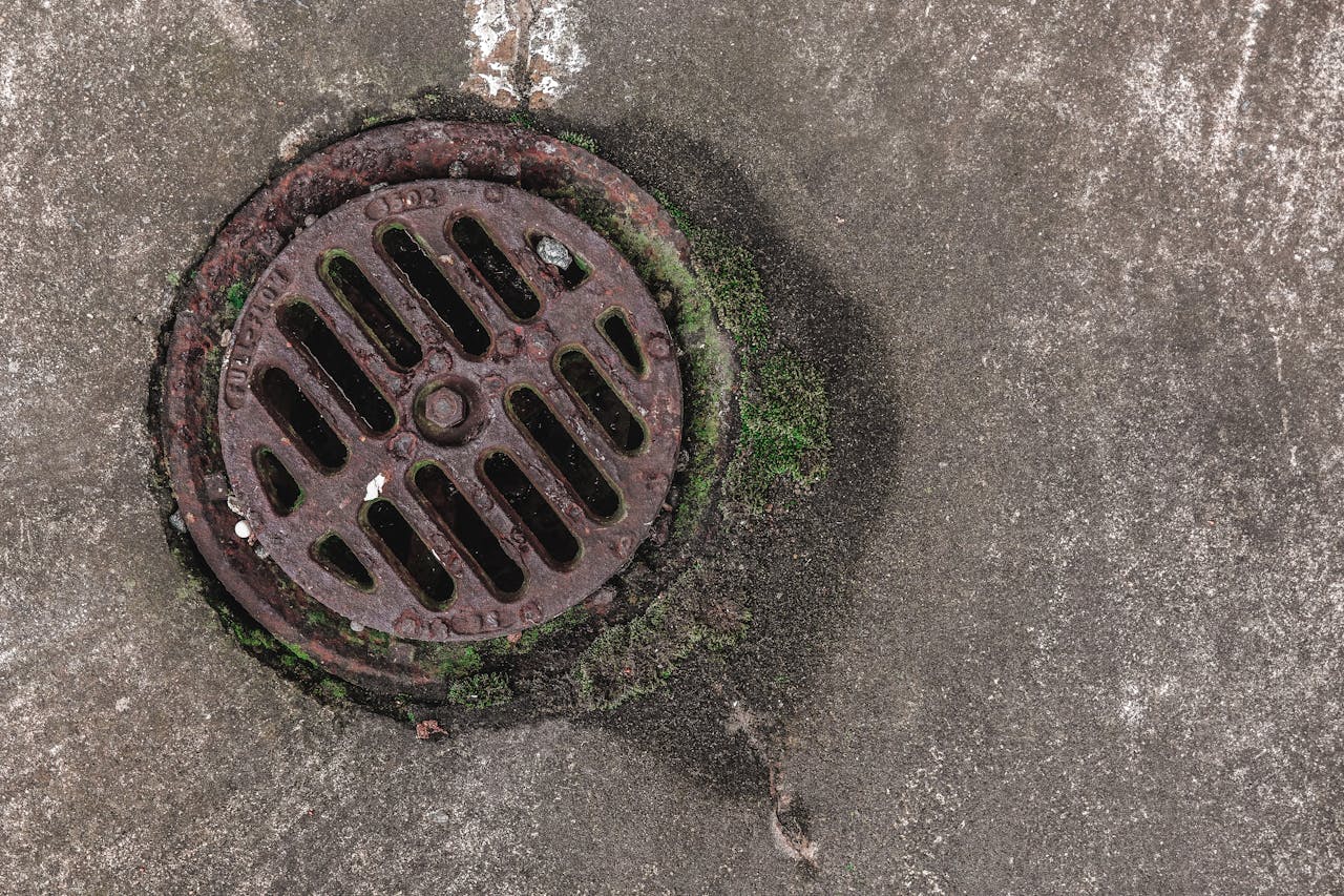 why-choose-us Close-up photo of a rusty drain grate with moss, offering a textured urban look.